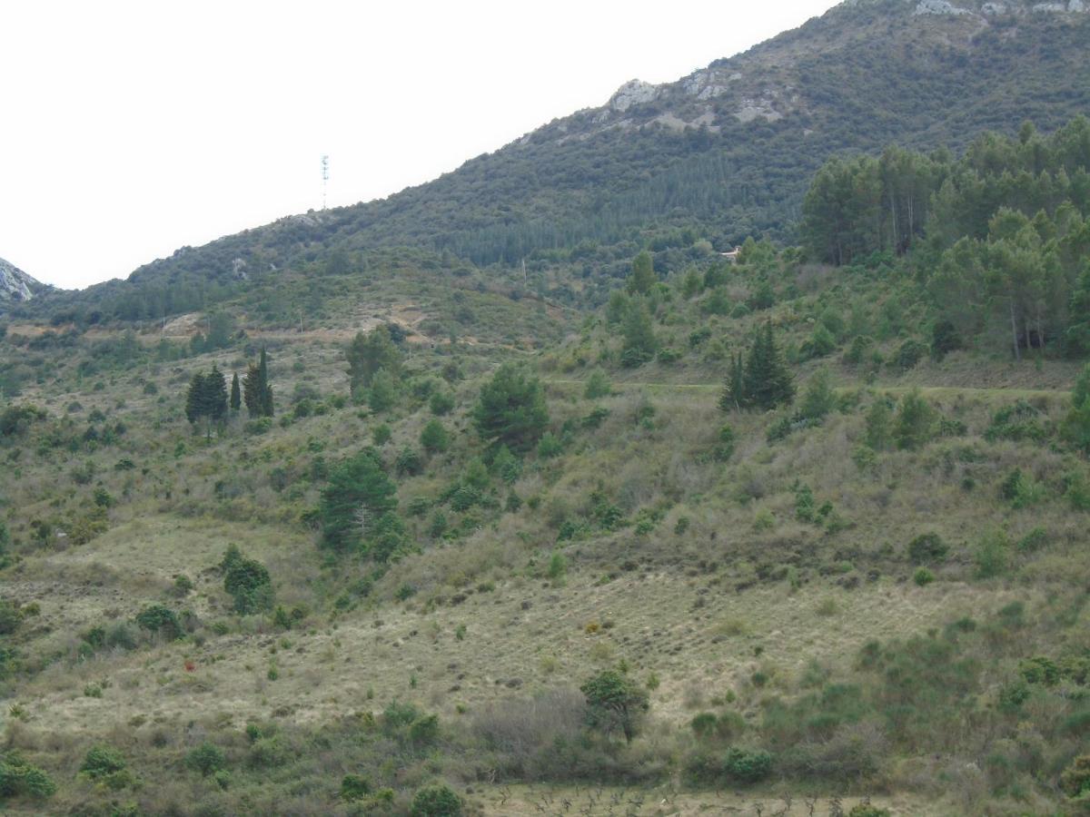 Villa Gite La Tramontane Cucugnan Exterior foto